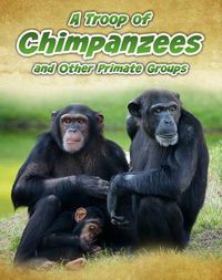 Cover image for A Troop of Chimpanzees: and Other Primate Groups