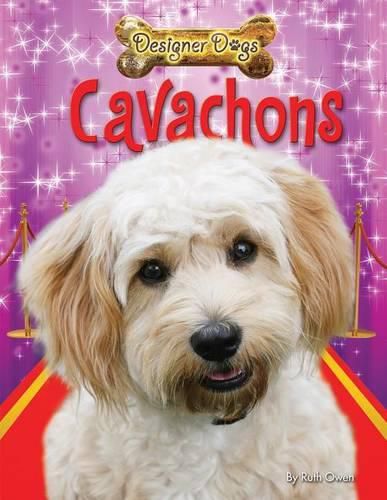 Cover image for Cavachons