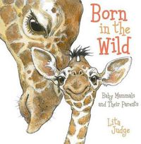 Cover image for Born in the Wild: Baby Mammals and Their Parents