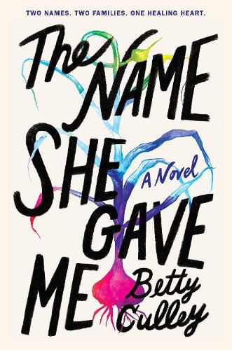 Cover image for The Name She Gave Me