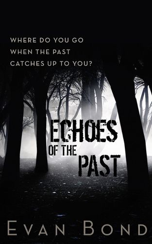 Cover image for Echoes of the Past