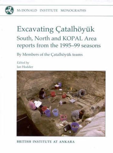 Cover image for Excavating Catalhoeyuk: South, North and KOPAL area reports from the 1995-99 seasons