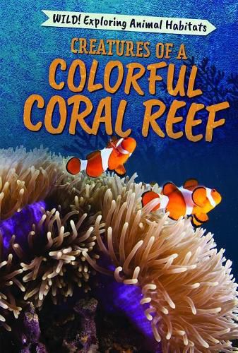 Cover image for Creatures of a Colorful Coral Reef