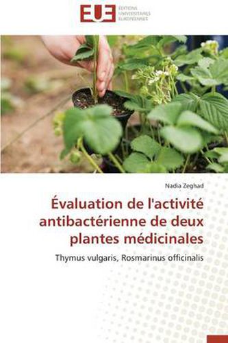 Cover image for valuation de l'Activit Antibact rienne de Deux Plantes M dicinales