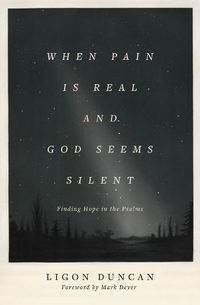 Cover image for When Pain Is Real and God Seems Silent: Finding Hope in the Psalms
