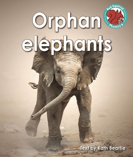 Cover image for Orphan elephants