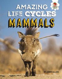 Cover image for Mammals - Amazing Life Cycles