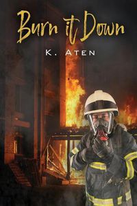 Cover image for Burn It Down