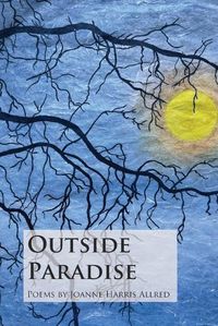 Cover image for Outside Paradise