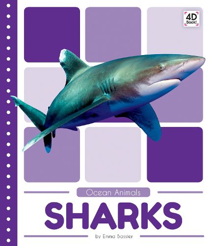 Ocean Animals: Sharks