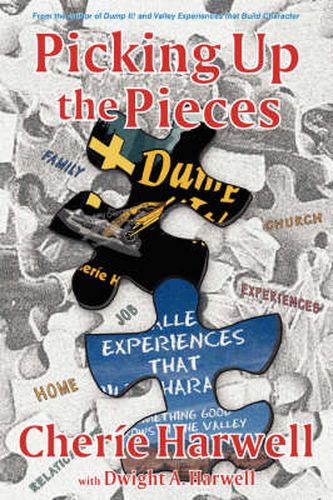 Cover image for Picking Up The Pieces: Dump It! Series