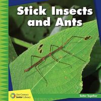 Cover image for Stick Insects and Ants