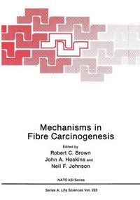 Cover image for Mechanisms in Fibre Carcinogenesis