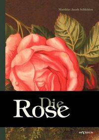 Cover image for Die Rose: Geschichte und Symbolik in ethnographischer und kulturhistorischer Beziehung: Mit einem chromolithographierten Titelbild und sieben Figuren in Holzschnitt