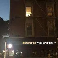 Cover image for Wide Open Light