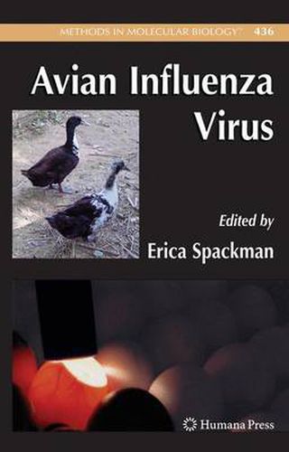 Cover image for Avian Influenza Virus