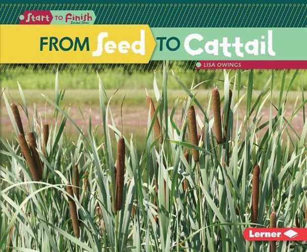 Cover image for From Seed to Cattail