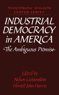 Cover image for Industrial Democracy in America: The Ambiguous Promise