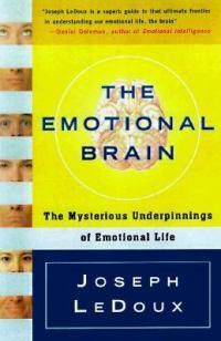 Cover image for The Emotional Brain: The Mysterious Underpinnings of Emotional Life