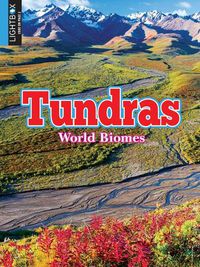 Cover image for Tundras