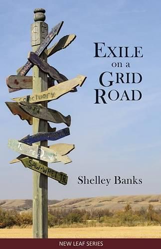 Cover image for Exile on a Grid Road