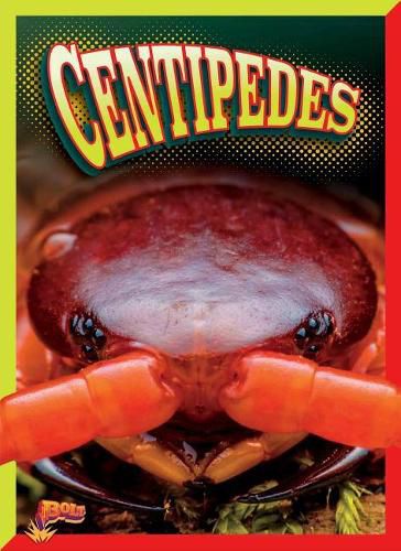 Cover image for Centipedes