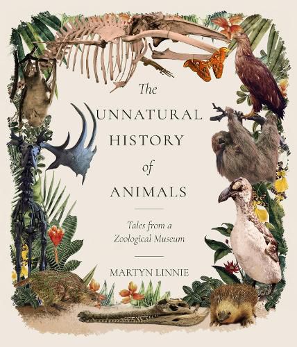 Cover image for The Unnatural History of Animals