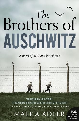 Cover image for The Brothers of Auschwitz