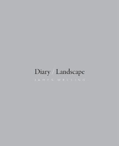 Cover image for Diary/Landscape