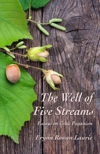 Cover image for The Well of Five Streams: Essays on Celtic Paganism