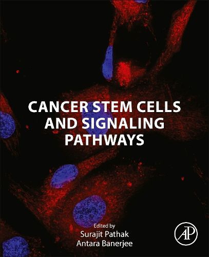 Cover image for Cancer Stem Cells and Signaling Pathways