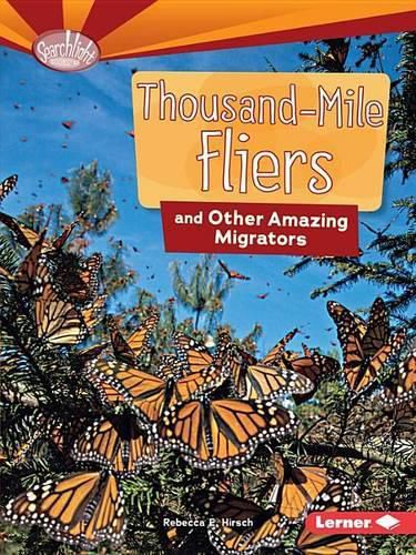 Thousand-Mile Fliers and Other Amazing Migrators