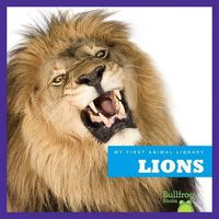 Cover image for Lions