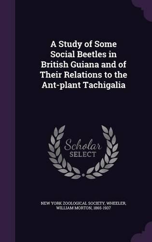 Cover image for A Study of Some Social Beetles in British Guiana and of Their Relations to the Ant-Plant Tachigalia