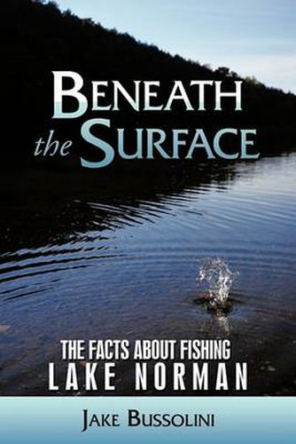 Cover image for Beneath the Surface