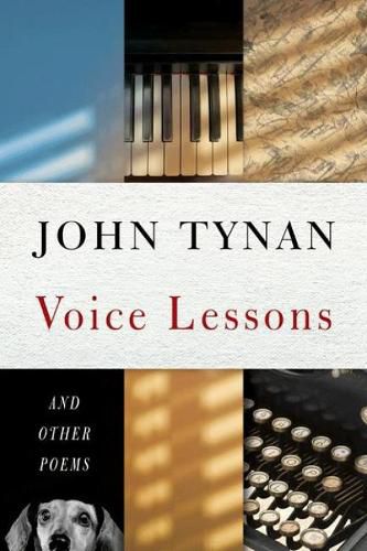 Cover image for Voice Lessons