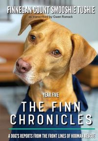 Cover image for The Finn Chronicles