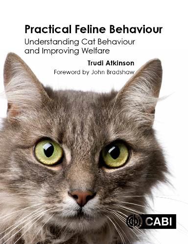 Cover image for Practical Feline Behaviour: Understanding Cat Behaviour and Improving Welfare