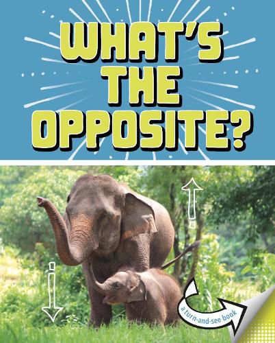What's the Opposite?: A Turn-and-See Book