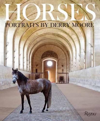 Cover image for Horses: Portraits by Derry Moore