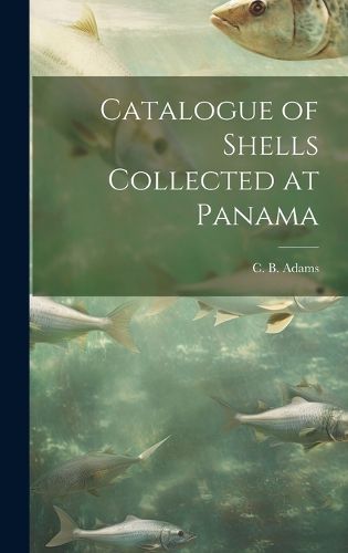 Cover image for Catalogue of Shells Collected at Panama