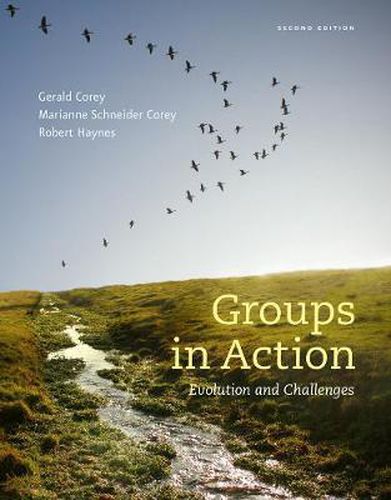 Cover image for Groups in Action: Evolution and Challenges (with Workbook and DVD)