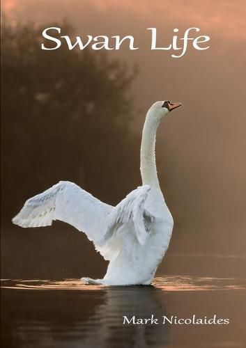 Cover image for Swan Life