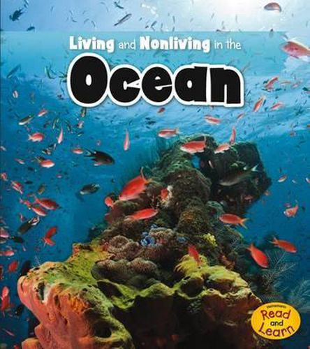 Cover image for Living and Nonliving in the Ocean