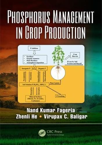 Cover image for Phosphorus Management in Crop Production