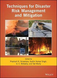 Cover image for Techniques for Disaster Risk Management and Mitigation