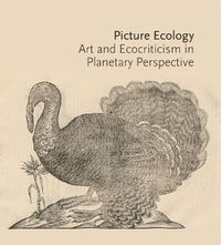 Cover image for Picture Ecology: Art and Ecocriticism in Planetary Perspective