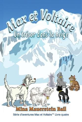 Cover image for Max et Voltaire Un tresor dans la neige