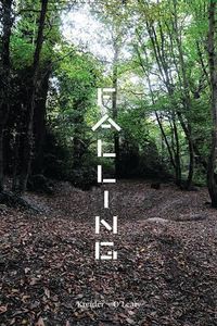 Cover image for Falling