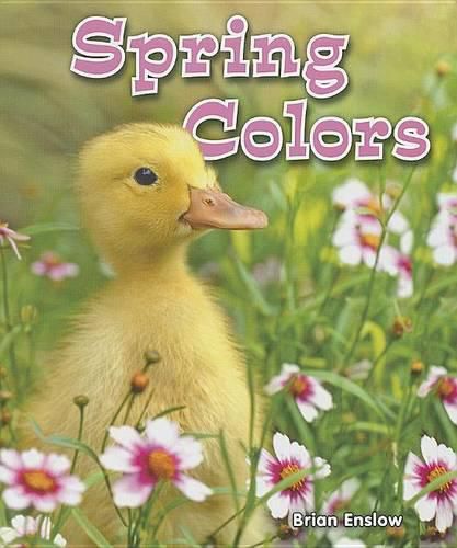 Cover image for Spring Colors